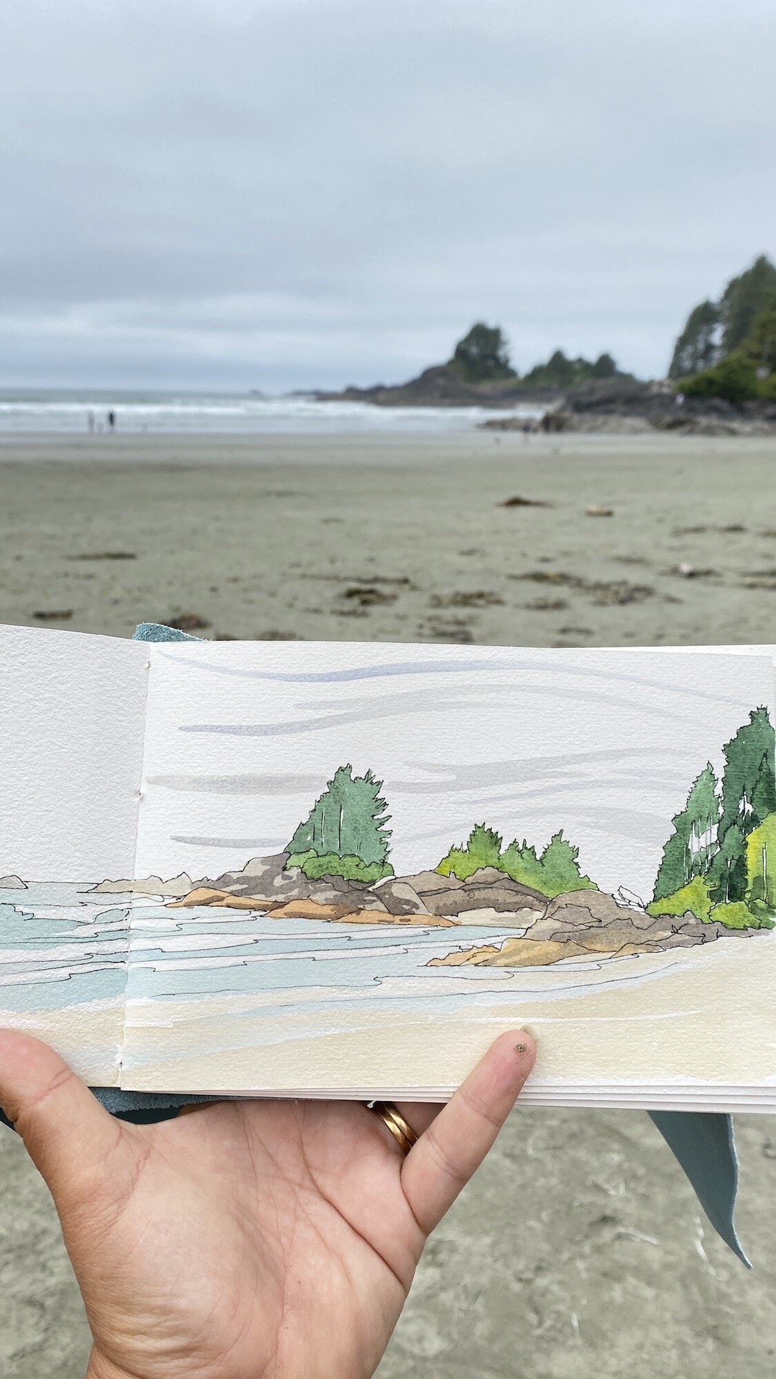 Sketchbooks and Sandbanks- Adventures in Tofino